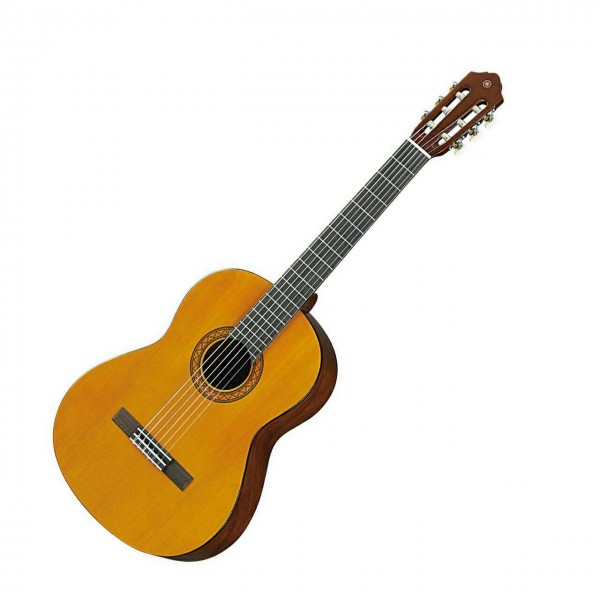 اساتید گیتار